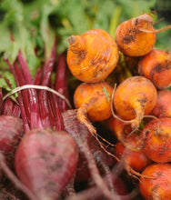 Load image into Gallery viewer, Thursday Mixed Box (fruit + veg) - Bixby Knolls 4pm - 6pm Pick-up