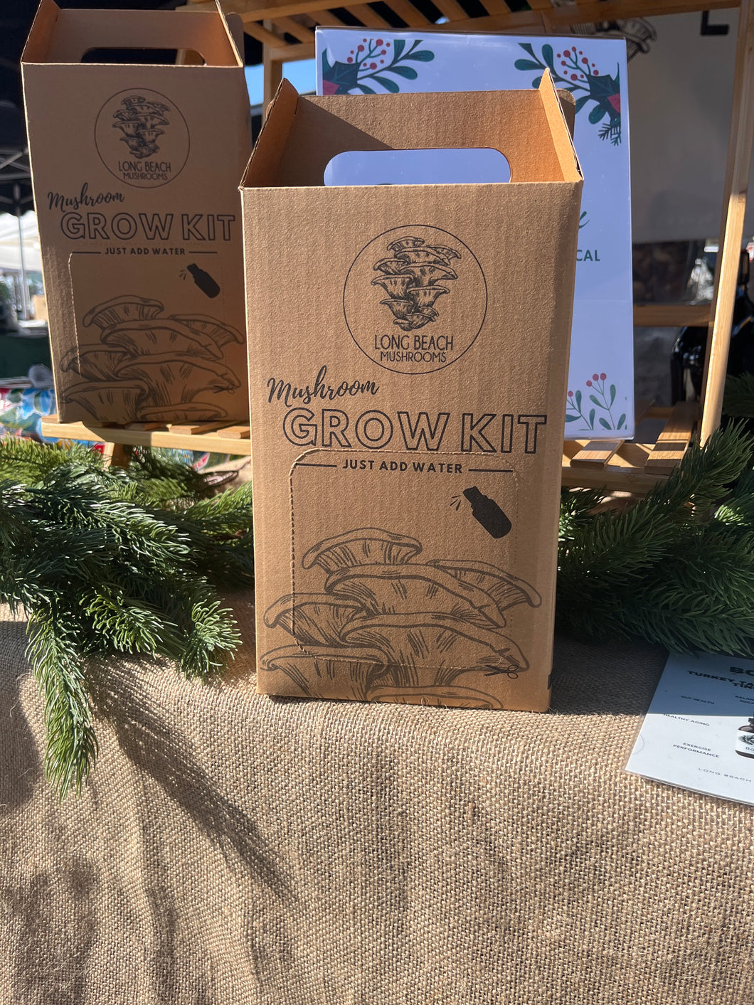 Mushroom grow kit