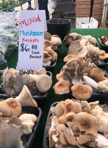 Sunday Mushrooms by Kawano Farm - Long Beach Marina - 11am - 2pm Pick-up
