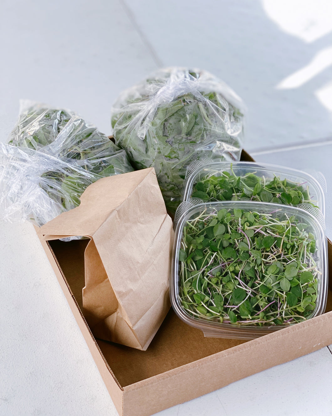 Sunday Micro Greens Box - Seeds of Xanxadu - Long Beach Marina - 11am - 1pm Pick-up