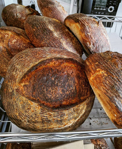 Sunday Colossus Country Loaf - Long Beach Marina - 11am - 1pm Pick-up